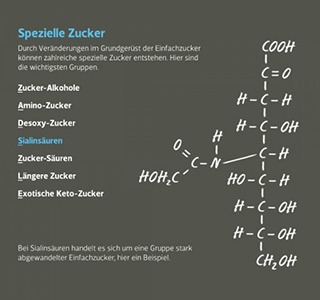 Alles Zucker * Zuckermuseum