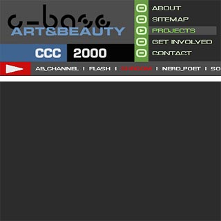 17C3 CCC Chaos Computer Congress c-base Art & Beauty Website Annette Springborn Christian Bennat Design