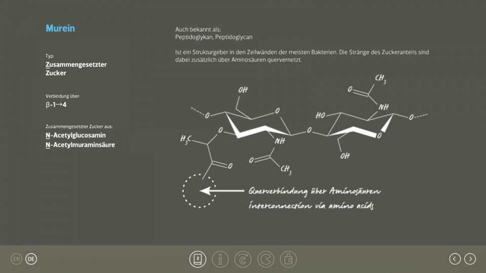 ZZ425 Alles Zucker Bennat App Design UX UI Programmierung Unity C-Sharp