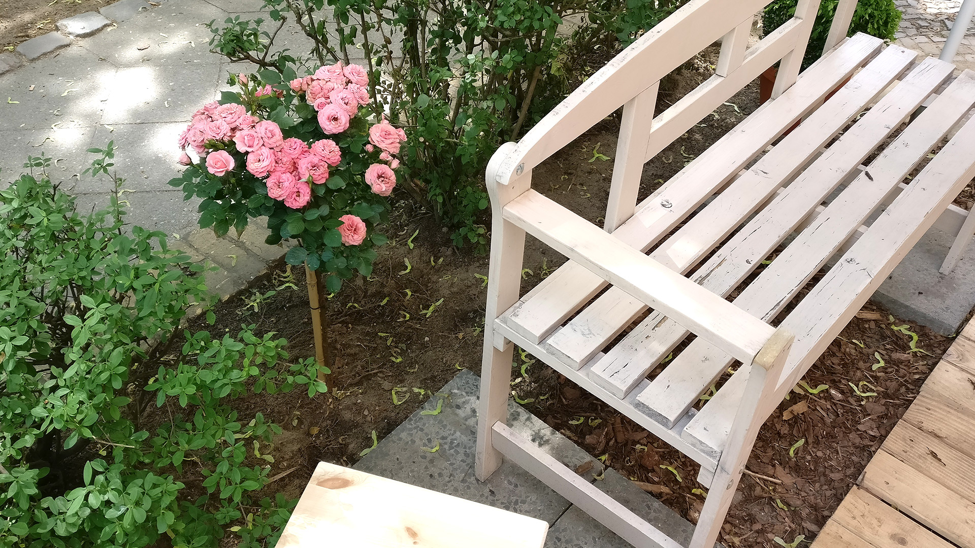 FF-3 Fräulein Frost Eis Eiscafé Eisdiele Beckerstr. 4, 12157 Berlin Christian Bennat 2018 Blumen